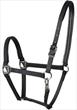 Tekna Headcollar