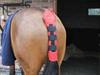 Aerborn Stay Up Tail Guard