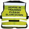 Equisafety Horse Training Air Road Safety Fluorescent Waistcoat