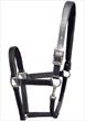 Tekna Breakaway Headcollar