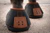 NEW Easyboot Trail Hoof Boot (sizes 7-10)