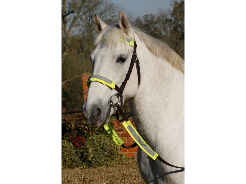 Luna Rider Reflective Bridle Kit