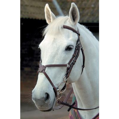 Mark Todd Plain Raised Bridle with Grackle Noseband