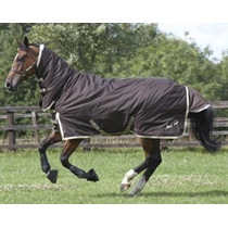 Mark Todd Deluxe Heavyweight Combo Turnout Rug