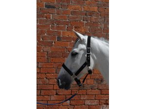 Hy Synthetic Head Collar