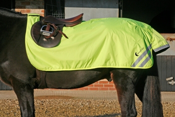 Luna Rider Fleece Lined Flourescent Excercise Sheet