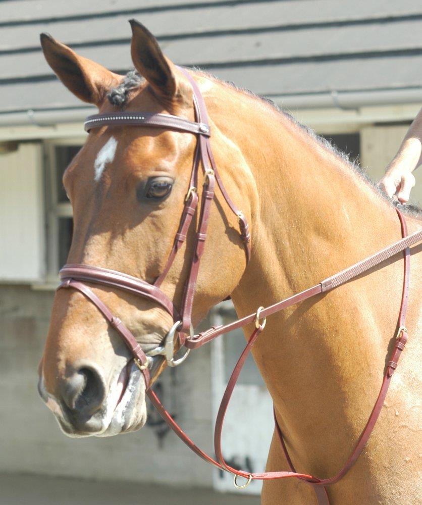 John Whitaker Running Martingale