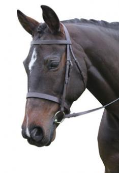 New Kincade Hunt Cavesson Bridle with Reins