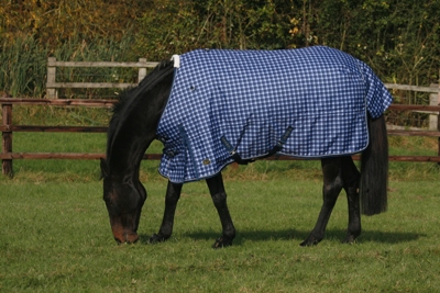 Mark Todd Lightweight Turnout Rug Dark Blue Plaid
