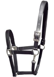 Tekna Breakaway Headcollar