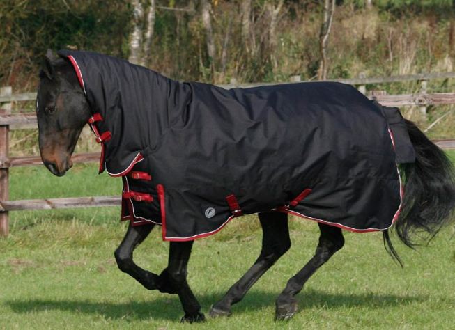 JHL Heavyweight Combo Turnout Rug SPECIAL OFFER!