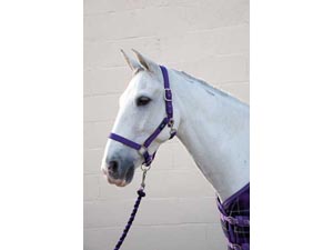Hy Adjustable Soft Touch Head Collar