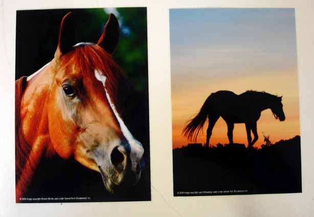 Horse Photo Notebook and Pen Set