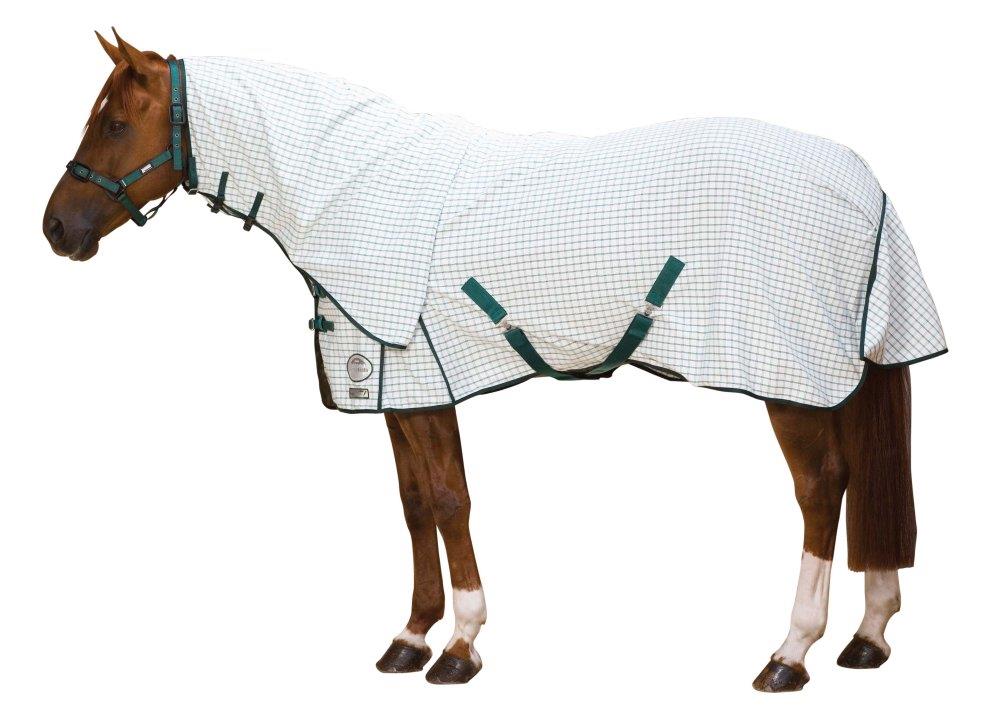 Weatherbeeta Summer Sheet Combo
