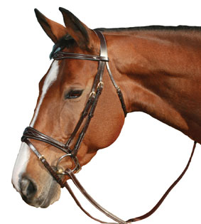 Mark Todd Fancy Stitch Flash Bridle