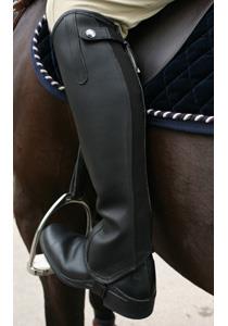 Mark Todd Christchurch Half Chap/ Gaiters