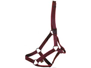 Aerborn Field Safe Headcollar 