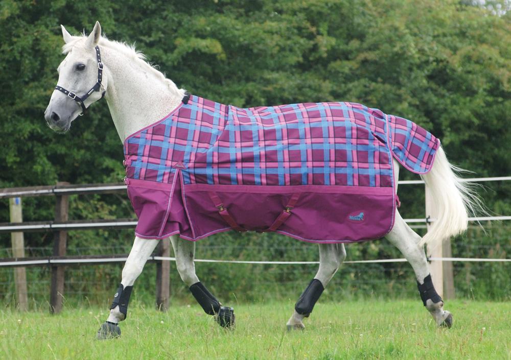 Masta Zing Lightweight Turnout Check 2011