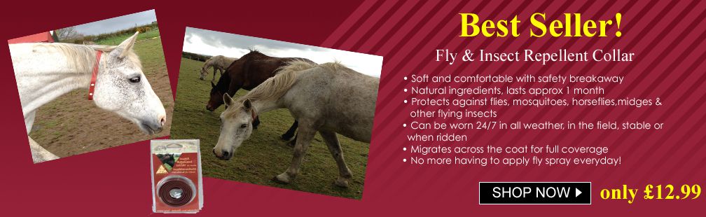 Horse fly collar