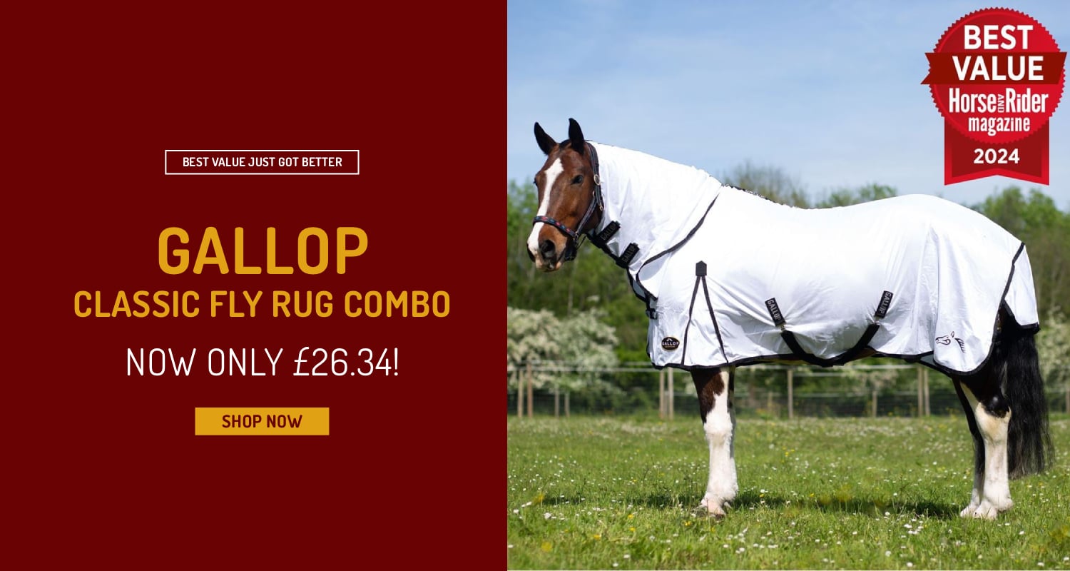 Best Value Just Got Better!  Gallop Classic Fly Rug Combo Only £26.34!