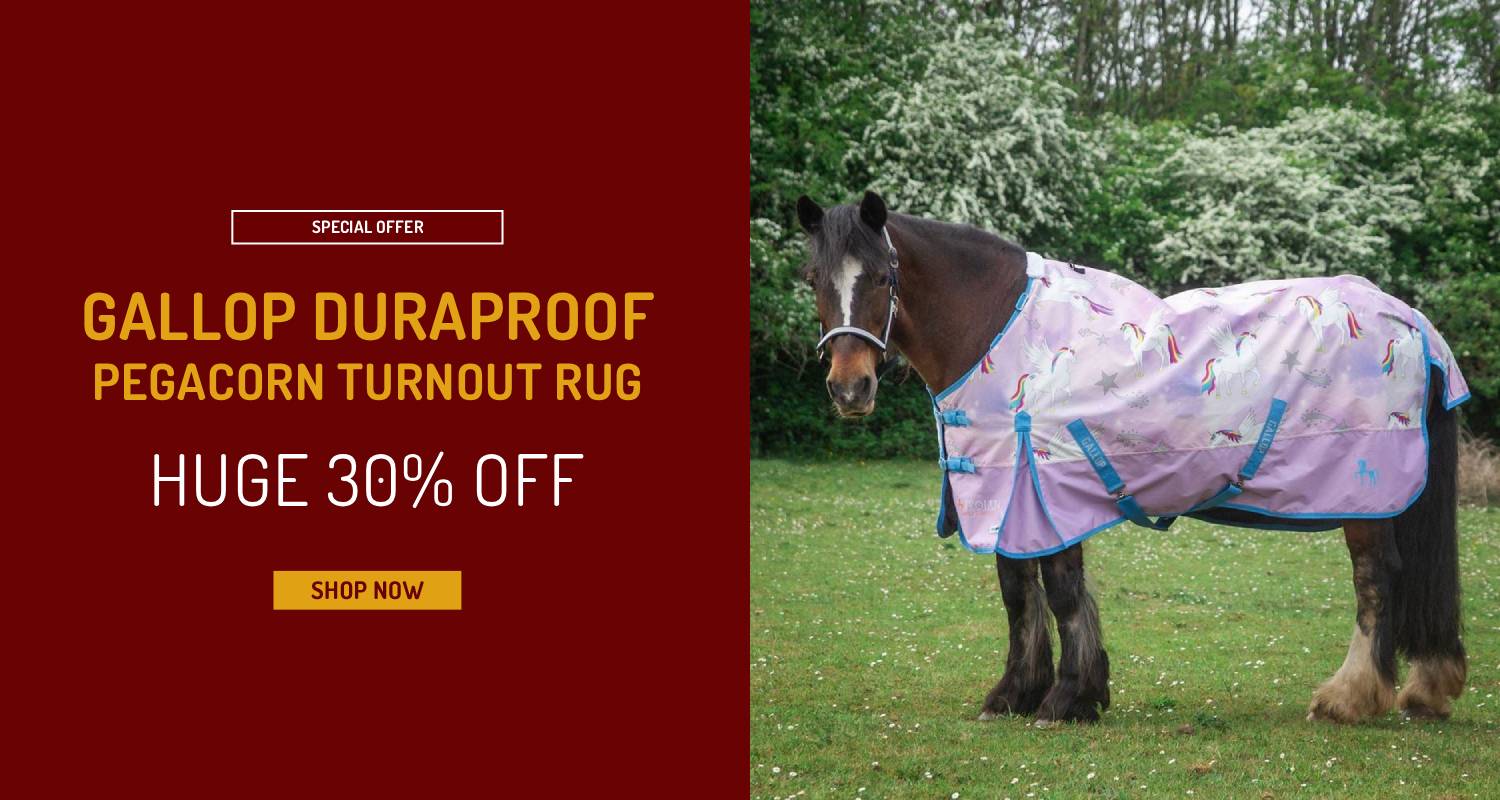 Huge 30% OFF  Gallop Duraproof Pegacorn Turnout Rug!