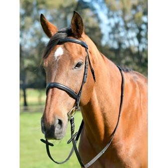 Kincade Classic Plain Raised Cavesson Bridle with Reins (Black)