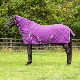 DefenceX Shield 300g Stable Rug with Detachable Neck