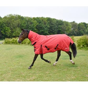 Rhinegold Konig Full Neck Combo Outdoor Rug - 200g (Red)