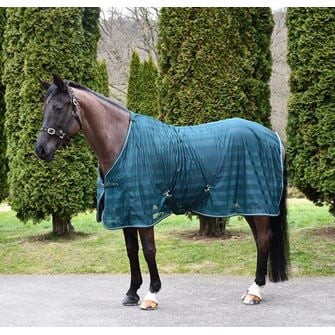 Rhinegold Sweat Sheet (Forest Green)