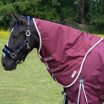 Gallop Trojan Xtra DURAPROOF 5 Point Lightweight Neck Cover (Burgundy/White)