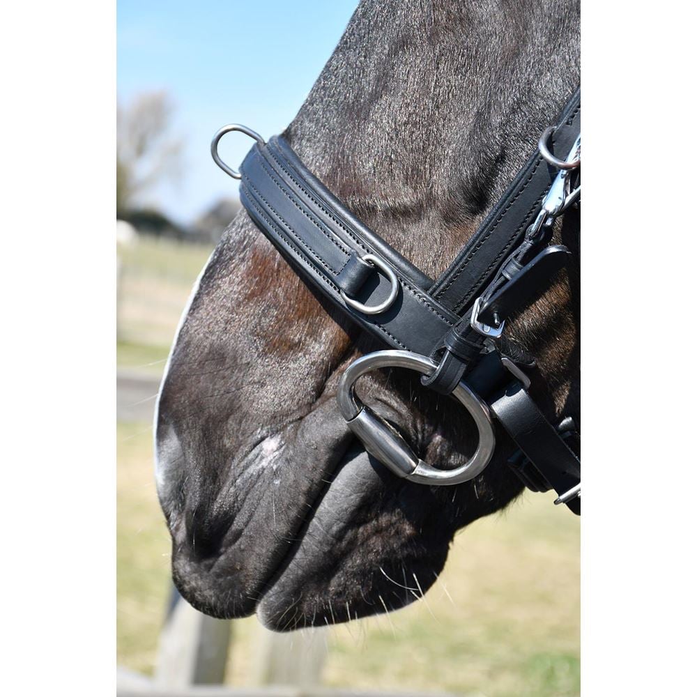 Rhinegold Leather Lunge Cavesson With Detachable Bit Attachment