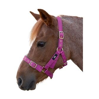 Hy Equestrian Holly Fully Adjustable Head Collar