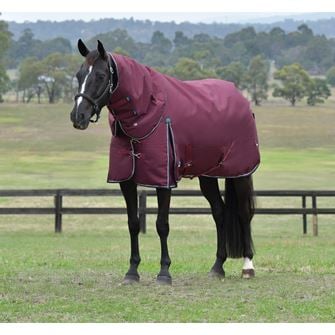 Weatherbeeta Comfitec Essential Turnout Detach-A-Neck - 220g (Burgundy/Navy)