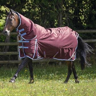 Gallop TROJAN Xtra Duraproof 300g Turnout Combo (Burgundy with Sky Blue/White bindings)