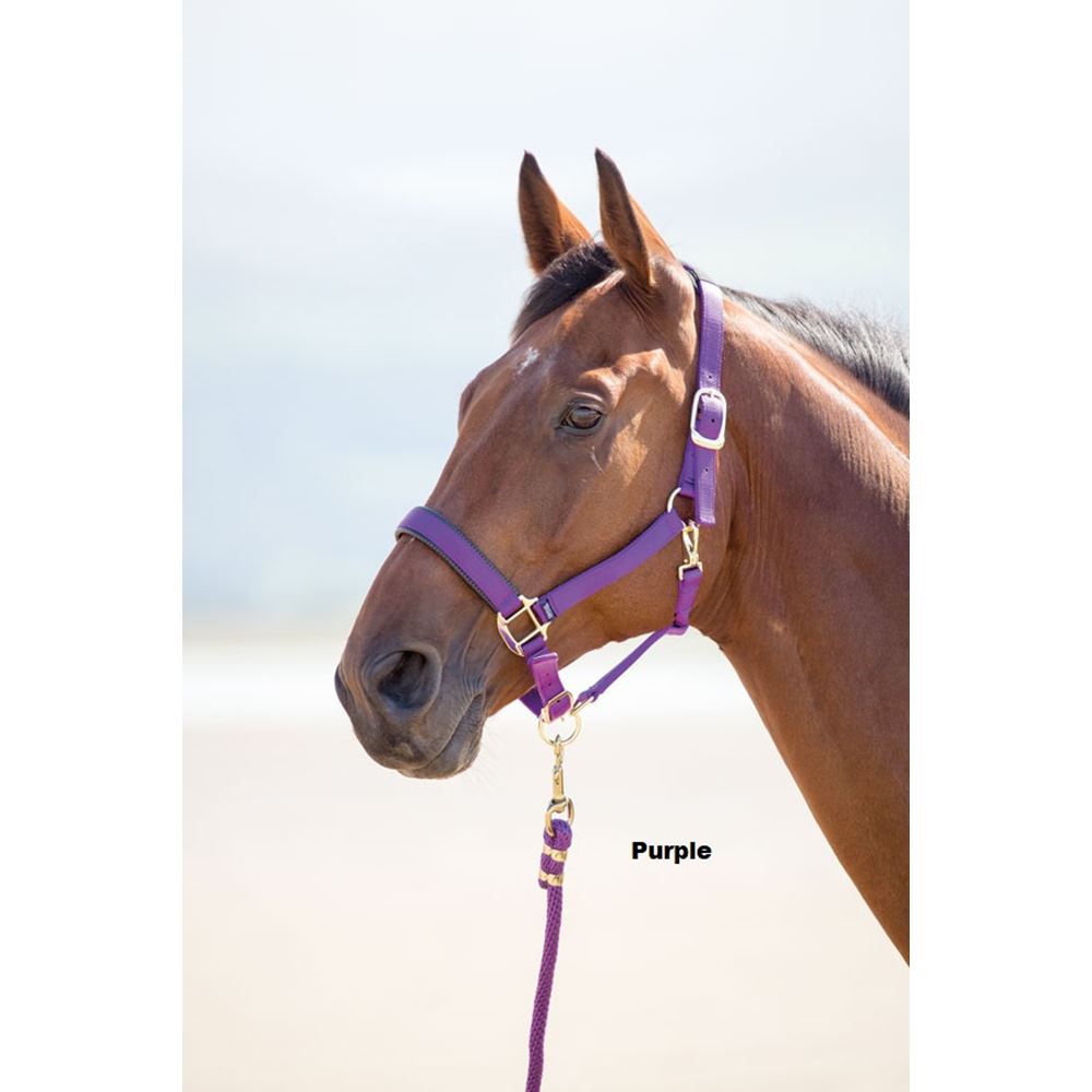 Shires 387 topazio cavezza nylon, Raspberry