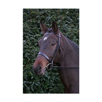 Hy Equestrian Hunter Bridle with Rubber Grip Reins (Black)
