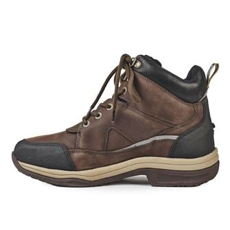 Shires Moretta Eleonora XGrip Lace Front Boots (Brown)