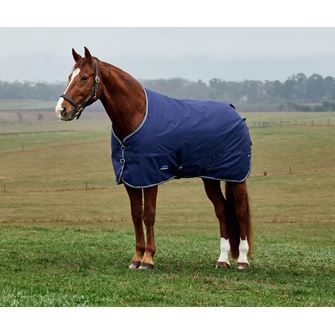Weatherbeeta Comfitec Tyro Turnout Standard - 220g (Navy/Charcoal)