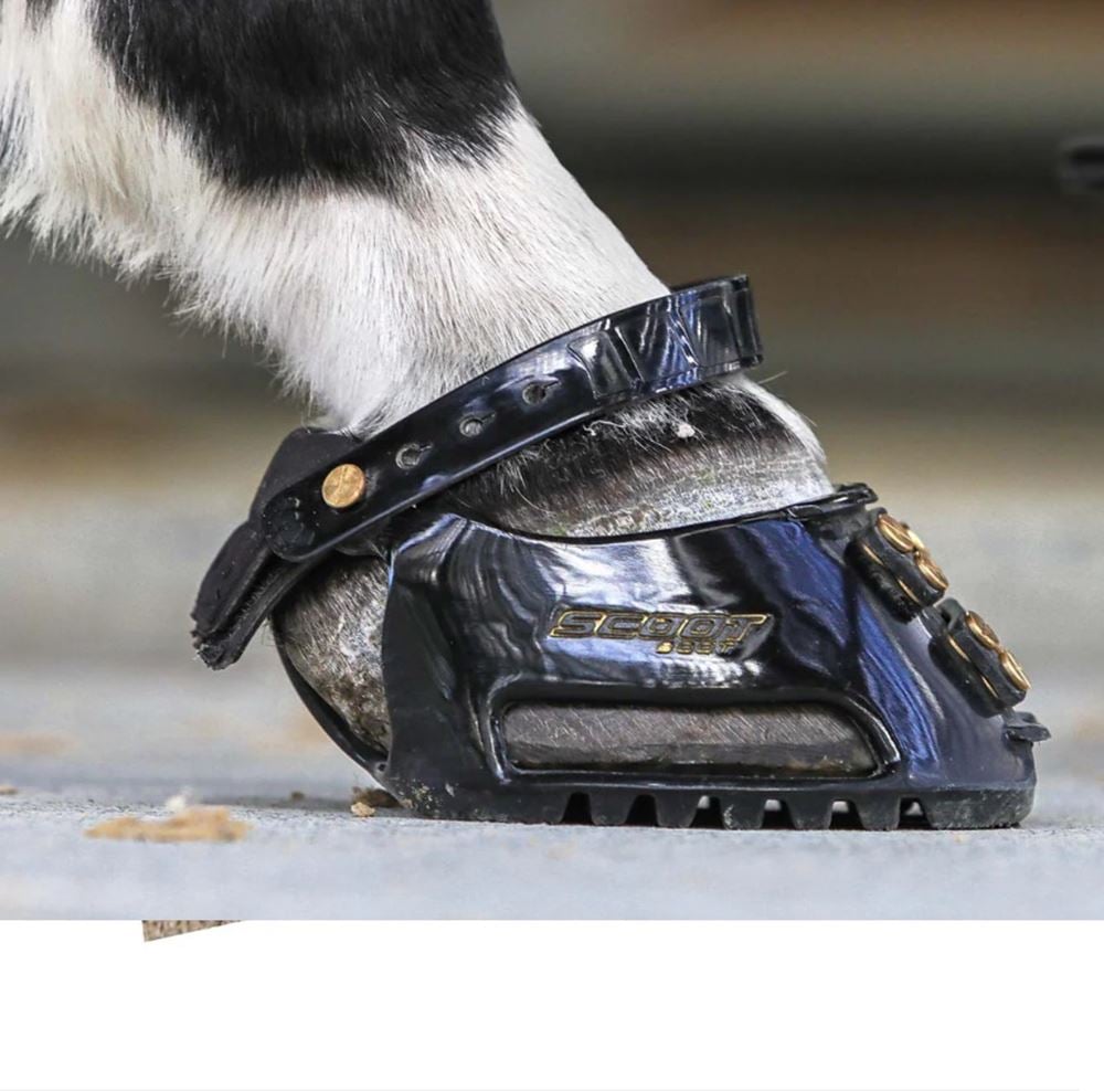 Scootboot Classic Slim Fit Pair + Claim FREE Straps and Cap worth £28.98! (See description)