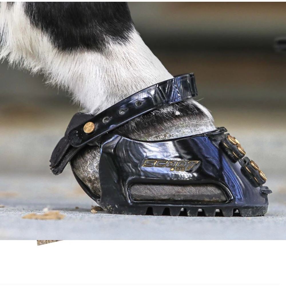 Scootboot Classic Slim Fit Pair + Claim FREE Straps and Cap worth £28.98! (See description)
