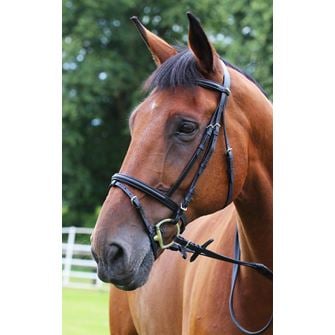 Gallop Padded Flash Bridle & Rubber Reins