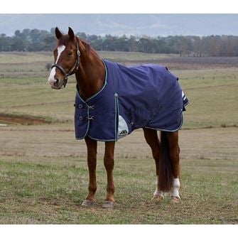 Weatherbeeta Comfitec Plus Dynamic Turnout Standard - 220g (Navy/Forest Green)