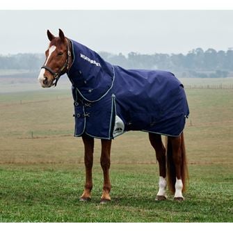 Weatherbeeta Comfitec Plus Dynamic Turnout Detach-A-Neck - 220g (5'3'' - Navy/Forest Green) *Clearance*