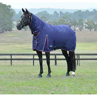 Weatherbeeta Comfitec Essential Turnout Combo - 220g (Navy/Burgundy)