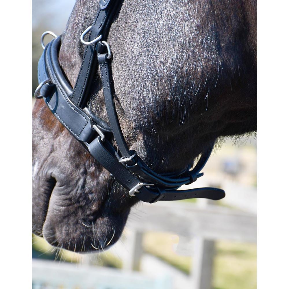 Rhinegold Leather Lunge Cavesson With Detachable Bit Attachment