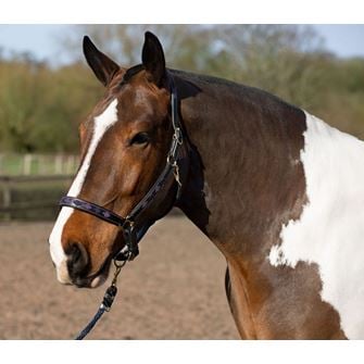 Gallop Premium Diamond Stitch Padded Leather Headcollar (Purple/Lilac)