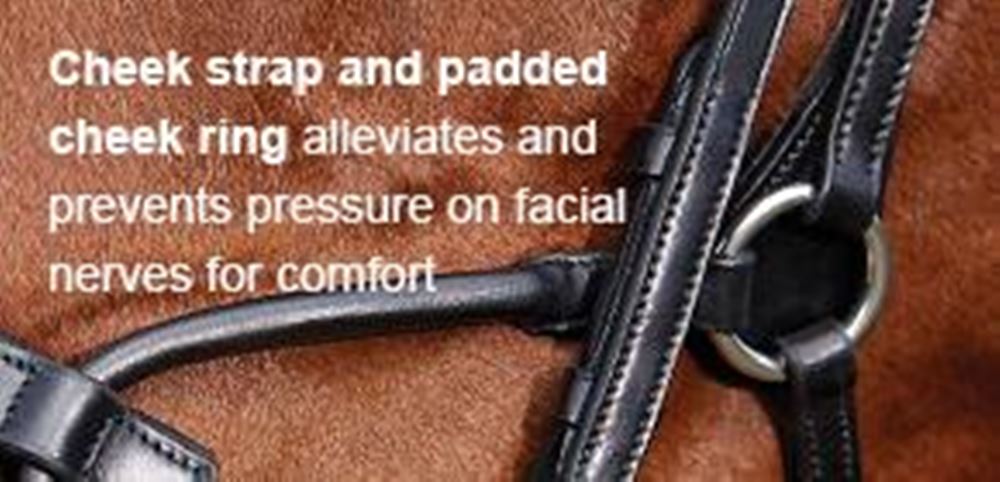 Collegiate Comfitec Patent Bridle
