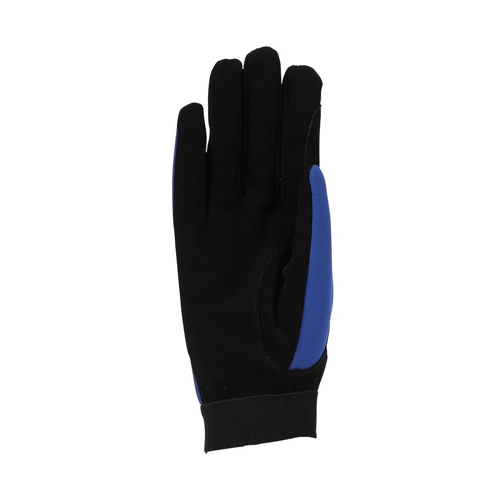 Shires Aubrion Team Winter Riding Gloves (Blue)