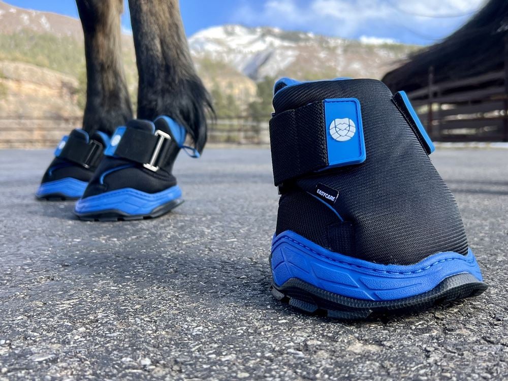 Easyboot RX Hoof Therapy Boot (Sizes 00-3)