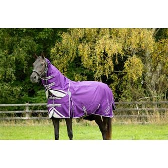 DefenceX Shield 300g Turnout Rug with Detachable Neck